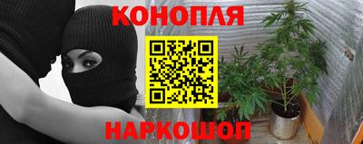 эйфоретик Дубна