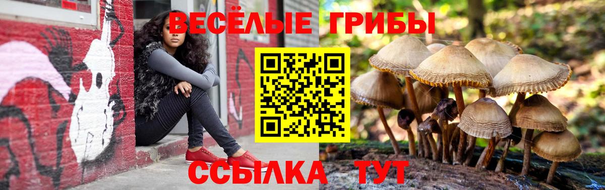 Галлюциногенные грибы прущие грибы Нефтекамск